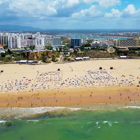 Rocha Premium 501 Портиман