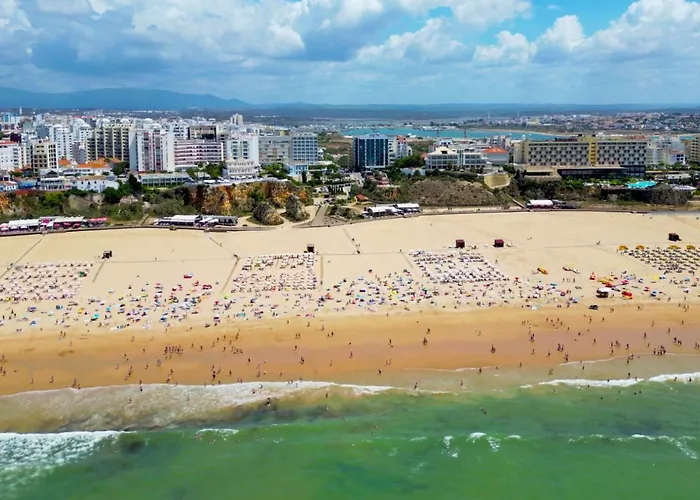 Luz, Sol E 포티마오